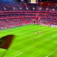 www_benfica_www