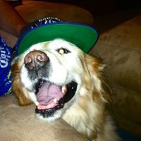 explosivecrucifixion