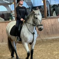 horse_riding367