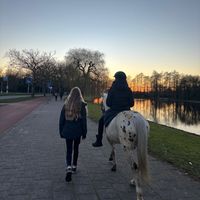 origineel geluid