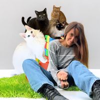 rainbowsquad.4