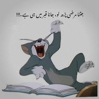 zehniimareezz0