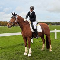 hannahsdressage_