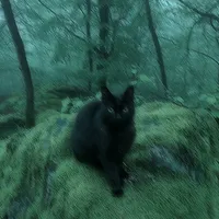 original sound - .kokolyrics