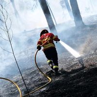 bombeirosdapazportuguese