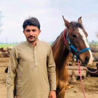 akhtardogar223