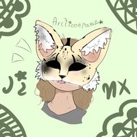 s1lly_j1nx