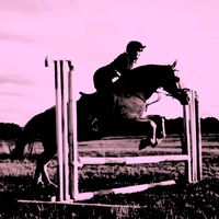 kellies_equestrian