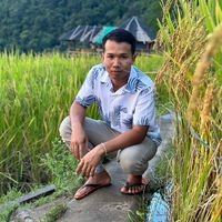 aophat_1842