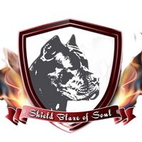 shieldblazeofsoul