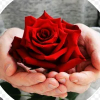 original sound - de_suflet_