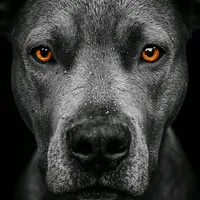 original sound - redrumkayra