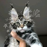 _._wally.s_._room_._