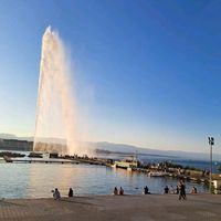 www.suissewaltherrz