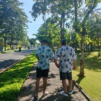 alin_wr