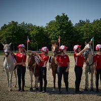 mountedgamesdanma