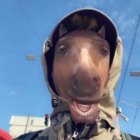 Originalton