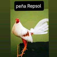 gallera_repsol