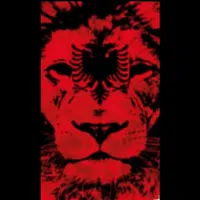 original sound - mirditori_official95