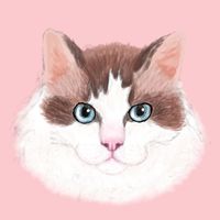sweetbellemar