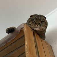 sxanny_