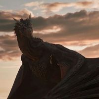 Cant help falling in love