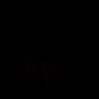 antrix_28