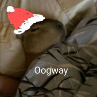 oogway_c