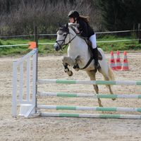 zoe_hrm