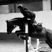 loes.ja.ponys