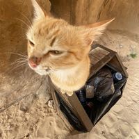 accountspam4noreason