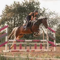 monty_amy_pascha