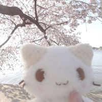 mavisisalwayslooking