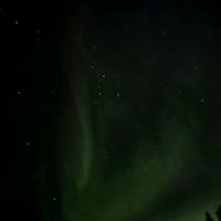 alkuperäinen ääni