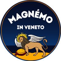 magnemo_in_veneto