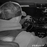 robin_02_2
