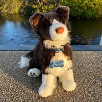 wolfdogplushies