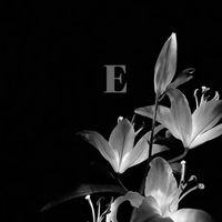 elix.edt