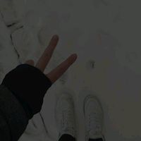 gwinam_fp