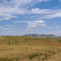 original sound - gatteo.mare