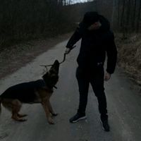 dźwięk oryginalny