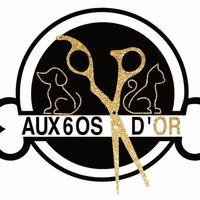 aux.6.os.dor