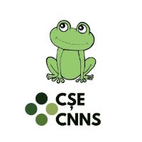 cse.cnns