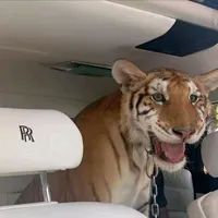 Welcome to St Tropez