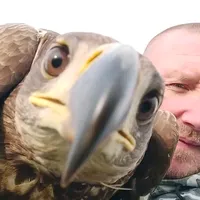 original sound - zvk2121