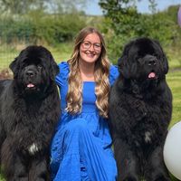 lily_the_newfie