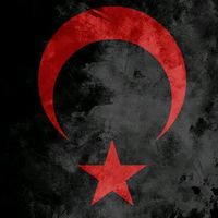 orijinal ses