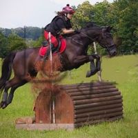 cavalelite