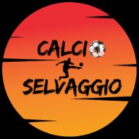 calcio.selvaggio