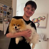 оригинальный звук